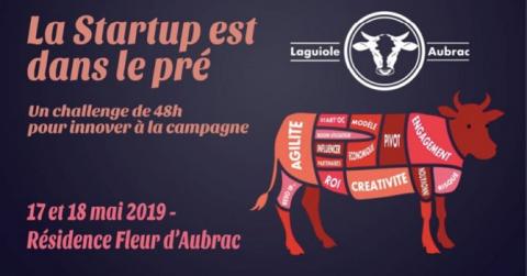 La startup est dans le pré