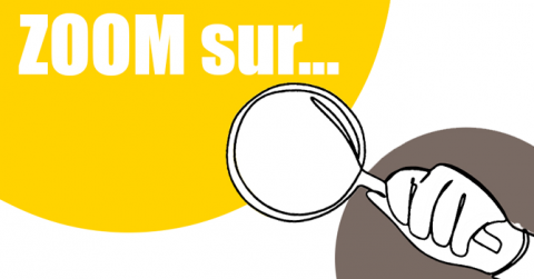 Zoom sur la formation du dirigeant