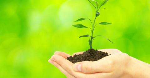 [Guide] - Les principaux dispositifs pour la transition écologique des TPE et PME