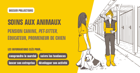 dossier Soins aux animaux, pension canine, pet-sitter, éducateur, promeneur de chien.