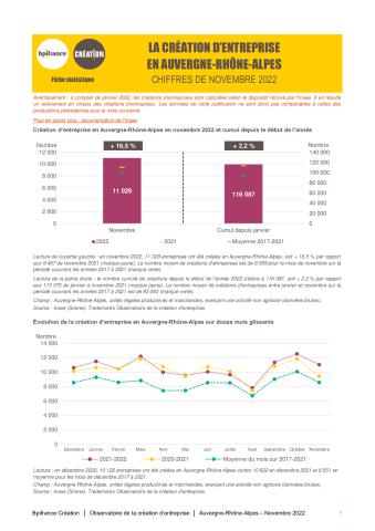 La création d'entreprise en Auvergne-Rhône-Alpes en novembre 2022