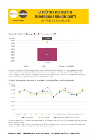 La création d'entreprise en Bourgogne-Franche-Comté en janvier 2025