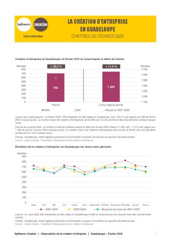 La création d'entreprise en Guadeloupe en février 2025