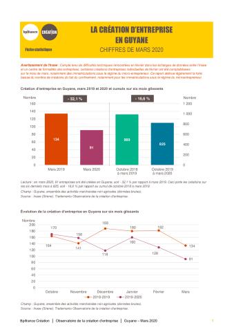 La création d'entreprise en Guyane en mars 2020