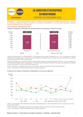La création d'entreprise en Martinique en décembre 2022