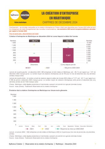 La création d'entreprise en Martinique en décembre 2024