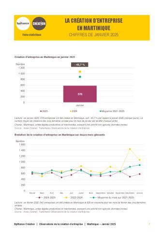 La création d'entreprise en Martinique en janvier 2025