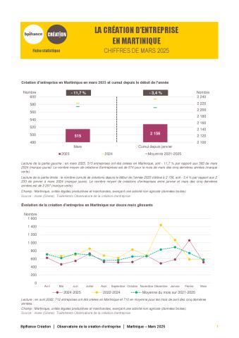 La création d'entreprise en Martinique en mars 2025