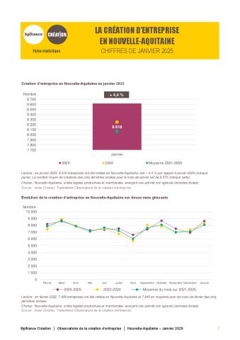 La création d'entreprise en Nouvelle-Aquitaine en janvier 2025