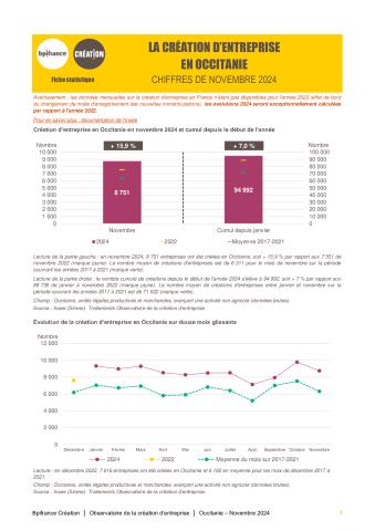 La création d'entreprise en Occitanie en novembre 2024