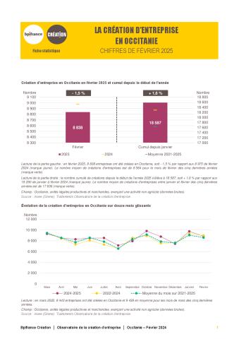 La création d'entreprise en Occitanie en février 2025